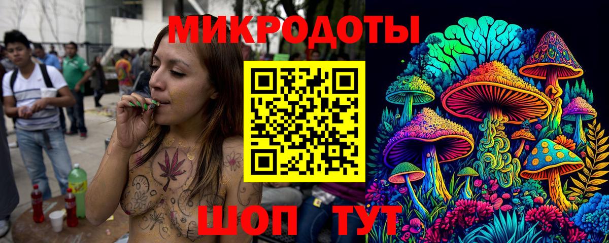 Псилоцибиновые грибы Psilocybe  Вход с VPN  Александров 